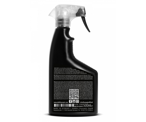 Boost Engine Dressing 500ml Scholl Concepts