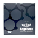 Графеновое керамическое покрытие Dark Star Nebula 30 ml kit Angelwax